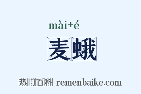 麦蛾是什么意思的图片